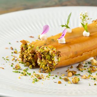Babbo Osteria - 1