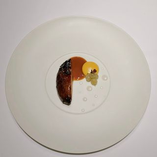 Sense - 9