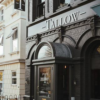 Tallow - 22