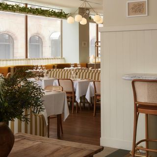Café Savoy - 1