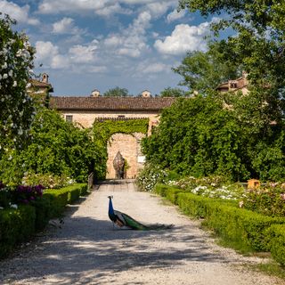 Antica Corte Pallavicina - 9