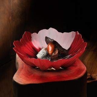 Roganic - 6
