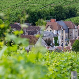 La Côte des Monts Damnés - 5