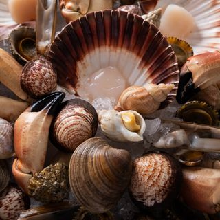 The Seafood Market Grill - 9