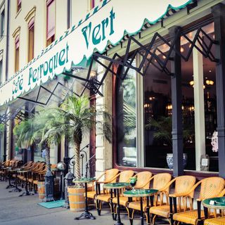 Perroquet Vert - 1