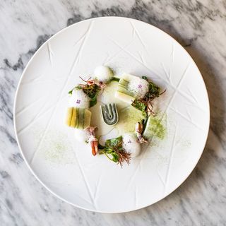 Ryunique - 4