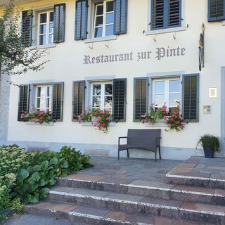 Pinte - Baden - 0
