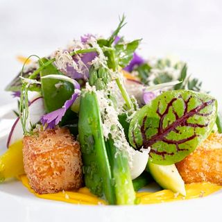 Purslane - 15