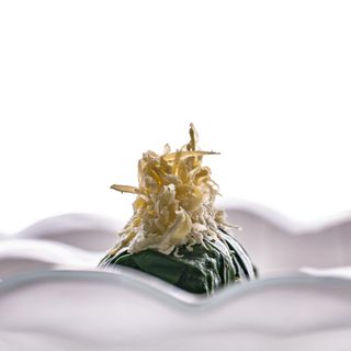 Konoba Zijavica - 1
