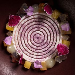 Fishølogy - 7