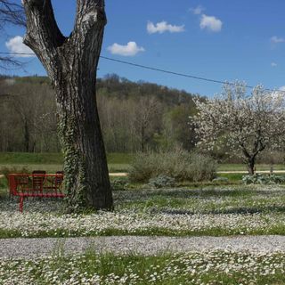 L'Argine a Vencò - 2