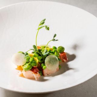 Resto JETT - 4