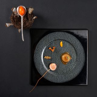 Eclectic - 23