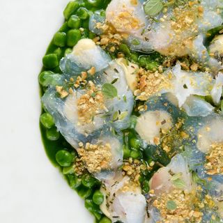 L'Agave - 12
