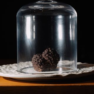 Koya - 1