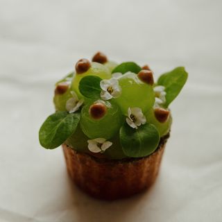 Botanic - 1