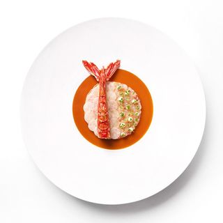 Sir Kwinten - 11