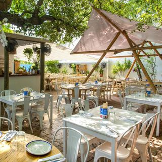 Mandolin Aegean Bistro - 1