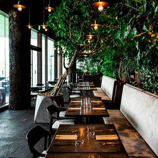 bonélan - Tokyo - 5