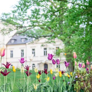 Piano Nobile at Chateau Mcely - 2
