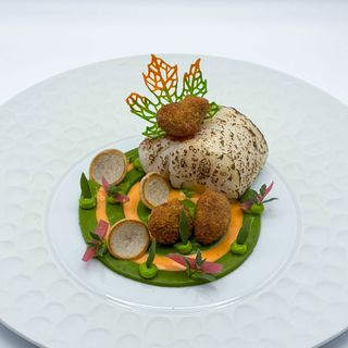 Krone Schlier - 8