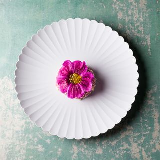 RAU nature-based cuisine - 5