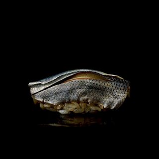 Sushi Sanshin - 8