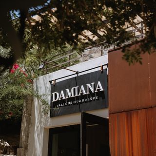 Damiana - 1