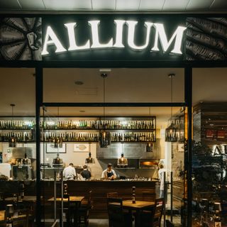 Allium - 7