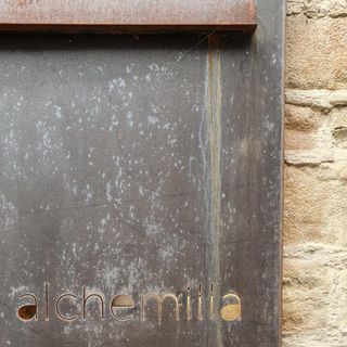 alchemilla - 2