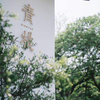 Qing Tao - 19