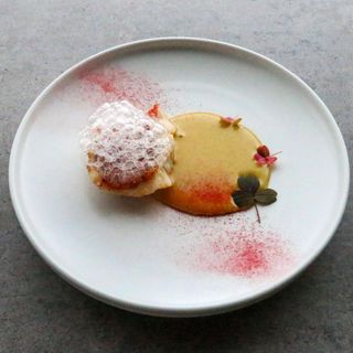 Palate - 2