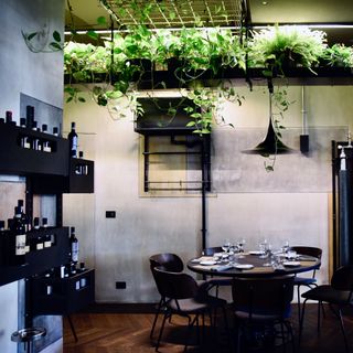 Almondo Trattoria - 3