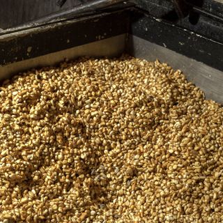 Siembra Tortillería - 2
