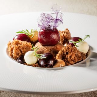 Resto JETT - 8