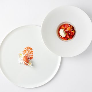 Orrery by Pierre Minotti - 5