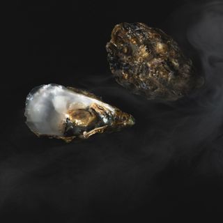 Grada Nuevo - 1