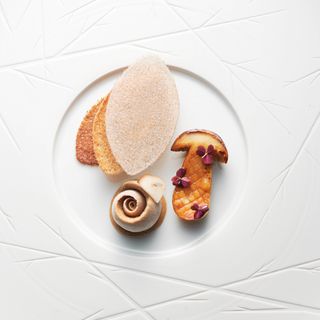 L'Oiseau Blanc - 17