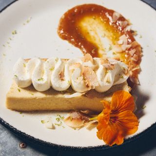 Paloma - 10