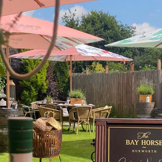 Bay Horse - 11