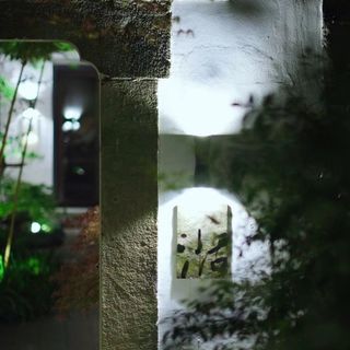 Sweet Spring - 5