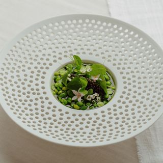 Botanic - 8