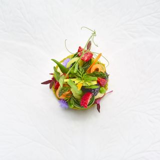 Tre Olivi - 12