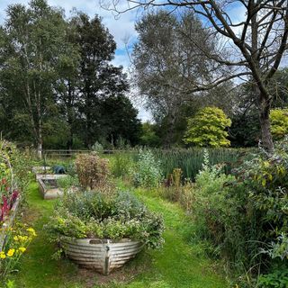 The Duck on the Pond - 5