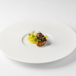 Orrery by Pierre Minotti - 3