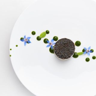 Le Chantecler - 12
