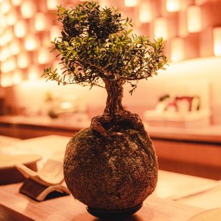 San Omakase - 6