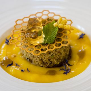 Cavalluccio Marino - 12
