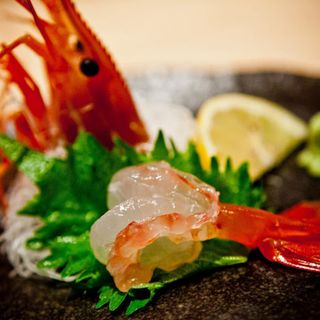 Sushi Tadokoro - 6