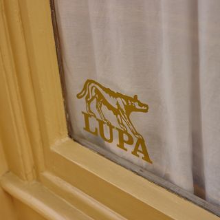 Lupa - 3